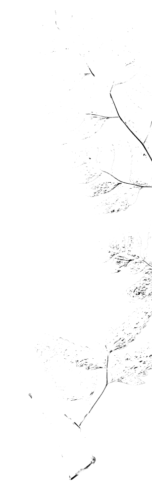 textura